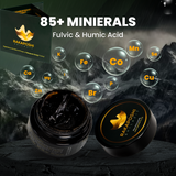 Rakaposhi Shilajit Resin – 100% Pure Himalayan Shilajit, 1 OZ